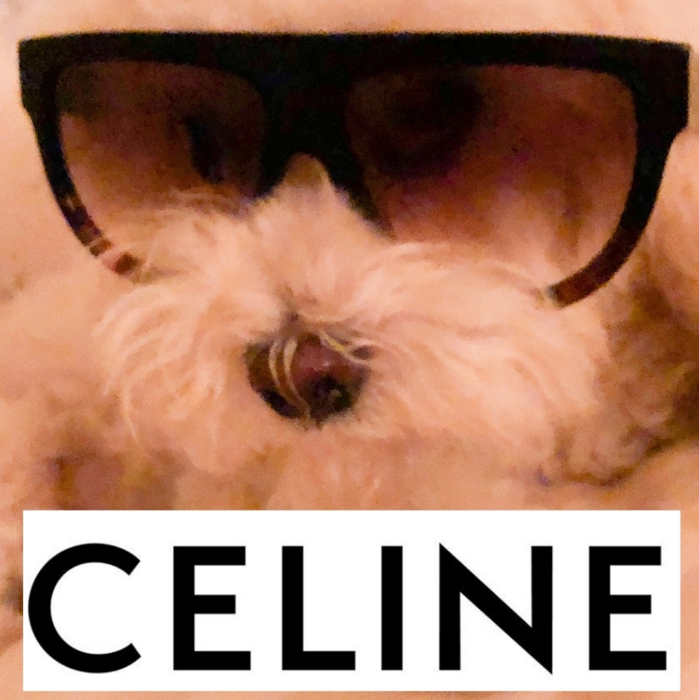 Meet your Posher, Henry